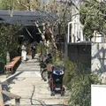 GARDEN HOUSE Kamakura（ガーデンハウス）の写真_246200