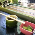 ひろ文の写真_246215