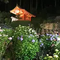 三室戸寺の写真_246222