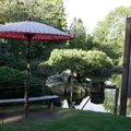 真鍋庭園の写真_246599