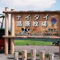 ナイタイ高原牧場の写真_246611