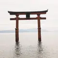 白鬚神社の写真_246619
