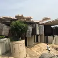 養老天命反転地の写真_246643
