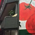 雪ノ下 銀座店の写真_246736