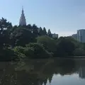 新宿御苑の写真_246774