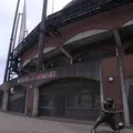 大和スタジアムの写真_247507