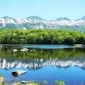 知床五湖の写真_247610
