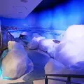 オホーツク流氷館の写真_247613