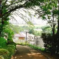 多摩川台公園の写真_248331