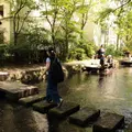 源兵衛川親水公園の写真_248637