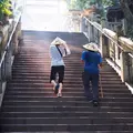 琴平山の写真_248755