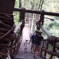 祖谷のかずら橋の写真_248760