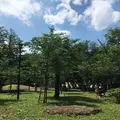 飛鳥山公園の写真_249901