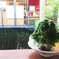 茶寮都路里の写真_250073