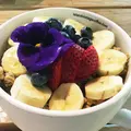 アイランド・ヴィンテージ・コーヒーの写真_251194