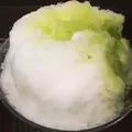 霧原の写真_251234