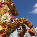 十和田市現代美術館の写真_251304