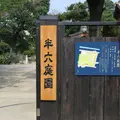 半六茶屋の写真_251525
