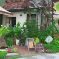 ナチュラル カフェイーナの写真_251637