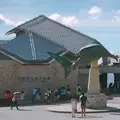 沖縄美ら海水族館の写真_251906