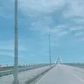 瀬底島の写真_251909