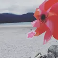 宇曽利山湖の写真_251936