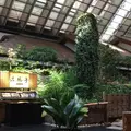 日本料理 渡風亭の写真_252092