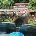 【閉業】滝流しそうめんの写真_252254