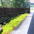 茶洒 金田中の写真_252368