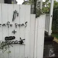 cafe peasの写真_252373