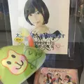 高崎山自然動物園の写真_252473