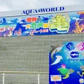 アクアワールド茨城県大洗水族館の写真_252497