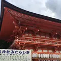 下鴨神社（賀茂御祖神社）の写真_252514