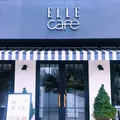 【閉業】ELLE cafe AOYAMA エルカフェ青山の写真_252542