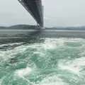 うずしお観潮船の写真_253008