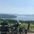 美幌峠展望台の写真_253203