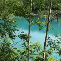 白金青い池の写真_253210