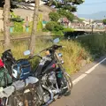 小樽運河の写真_253212