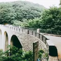 七沢森林公園の写真_253585