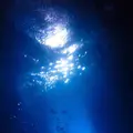 青の洞窟の写真_253628