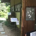 ＩＣＨＩの写真_253799