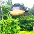 空飛ぶ泥舟の写真_254474