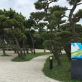 城ヶ島公園の写真_254760