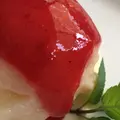 ふくろふ森の写真_254837