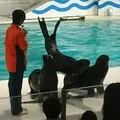 おたる水族館の写真_255030