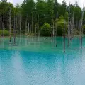 白金青い池の写真_255095
