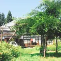 森の家の写真_255195