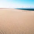 浜岡砂丘の写真_255284