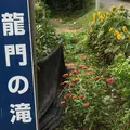 龍門の滝の写真_255370