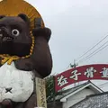 益子焼 窯元共販センターの写真_255376